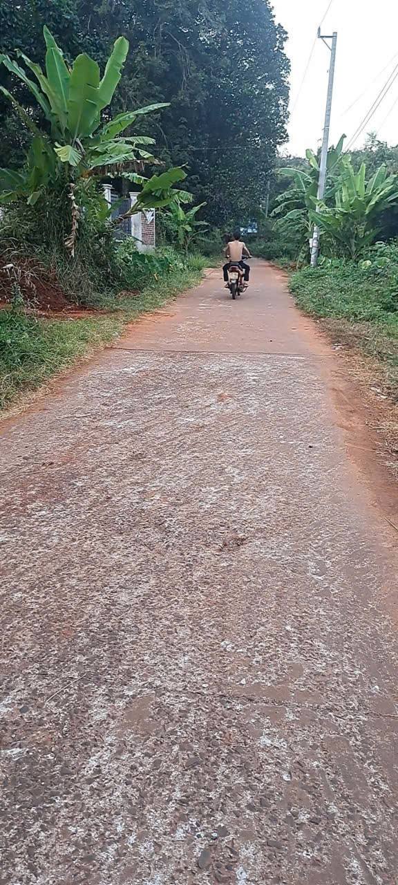 Đất thổ cư Lộc Tấn, Lộc Ninh 495m² giá 700 triệu - Đầu tư sinh lời ngay!