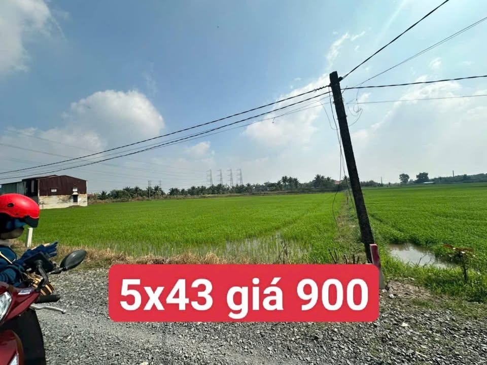 Đất nền Hòa Khánh Đông 214m² giá chỉ 990 triệu - Cơ hội đầu tư hấp dẫn!