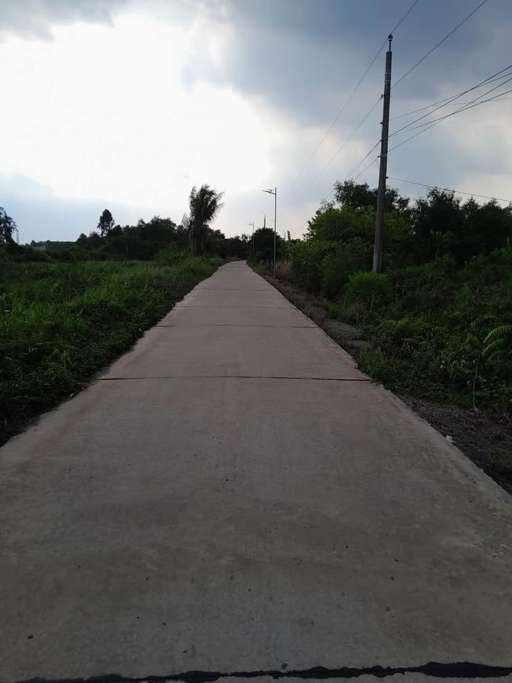 Đất thổ vườn Bến Lức 1872m² giá thỏa thuận - Vị trí đẹp, tiện ích đầy đủ!