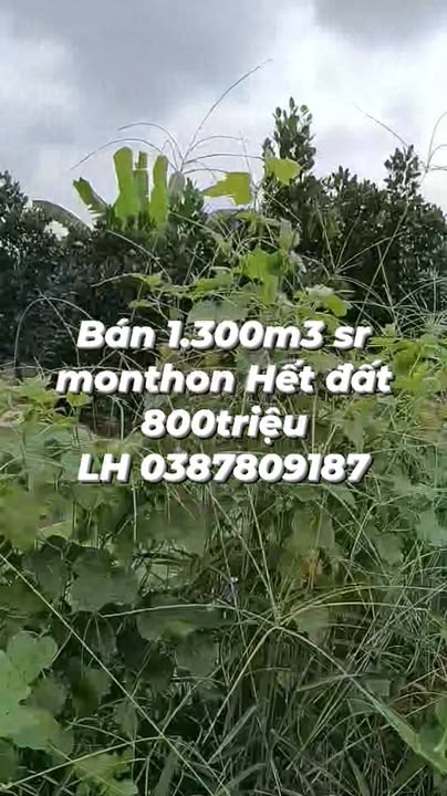 Đất nền Cái Bè Tiền Giang 1300m² giá 800 triệu - Cơ hội đầu tư sinh lời!