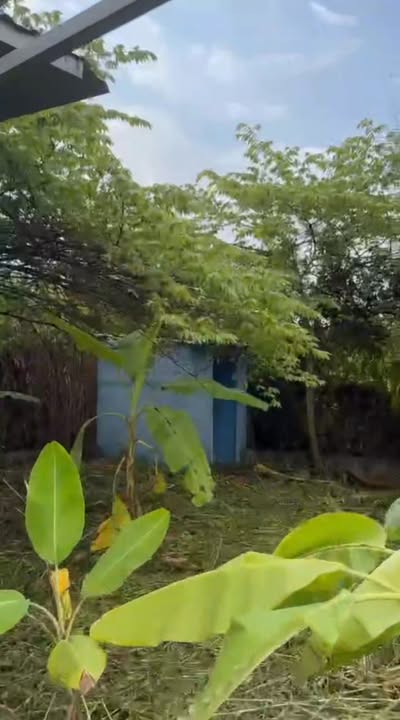 Đất vườn 500m² tại Bình Mỹ, Củ Chi - Giá chỉ 2.7 tỷ - Đầu tư sinh lời ngay!