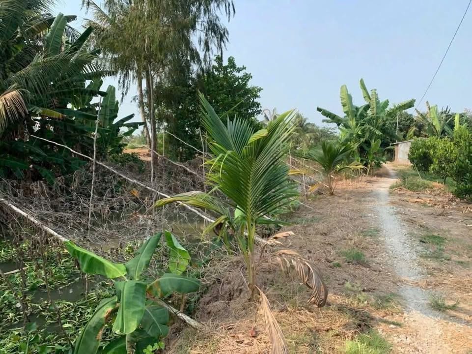 Đất ruộng Cống 14, xã Thạnh Tiến, huyện Vĩnh Thạnh, 22.066m² - Giá chỉ 270 triệu!