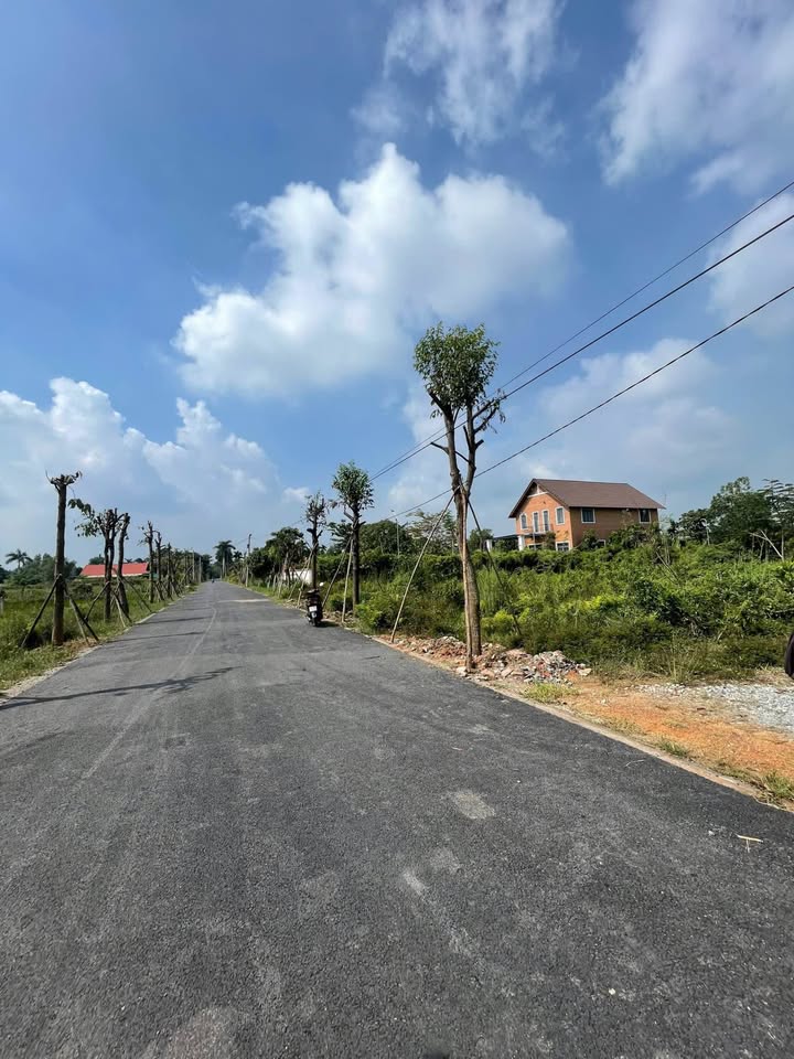 Đất nền Phú An Bến Cát 744m² giá chỉ 2.7 triệu - Tiềm năng đầu tư lớn!