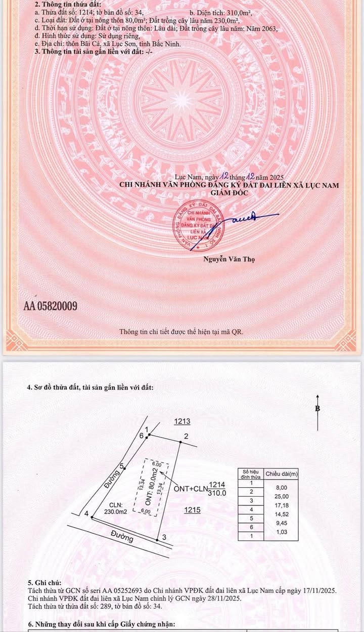 Đất thổ cư 310m² 2 mặt tiền tại Lục Sơn, Bắc Giang - Giá chỉ 400 triệu!