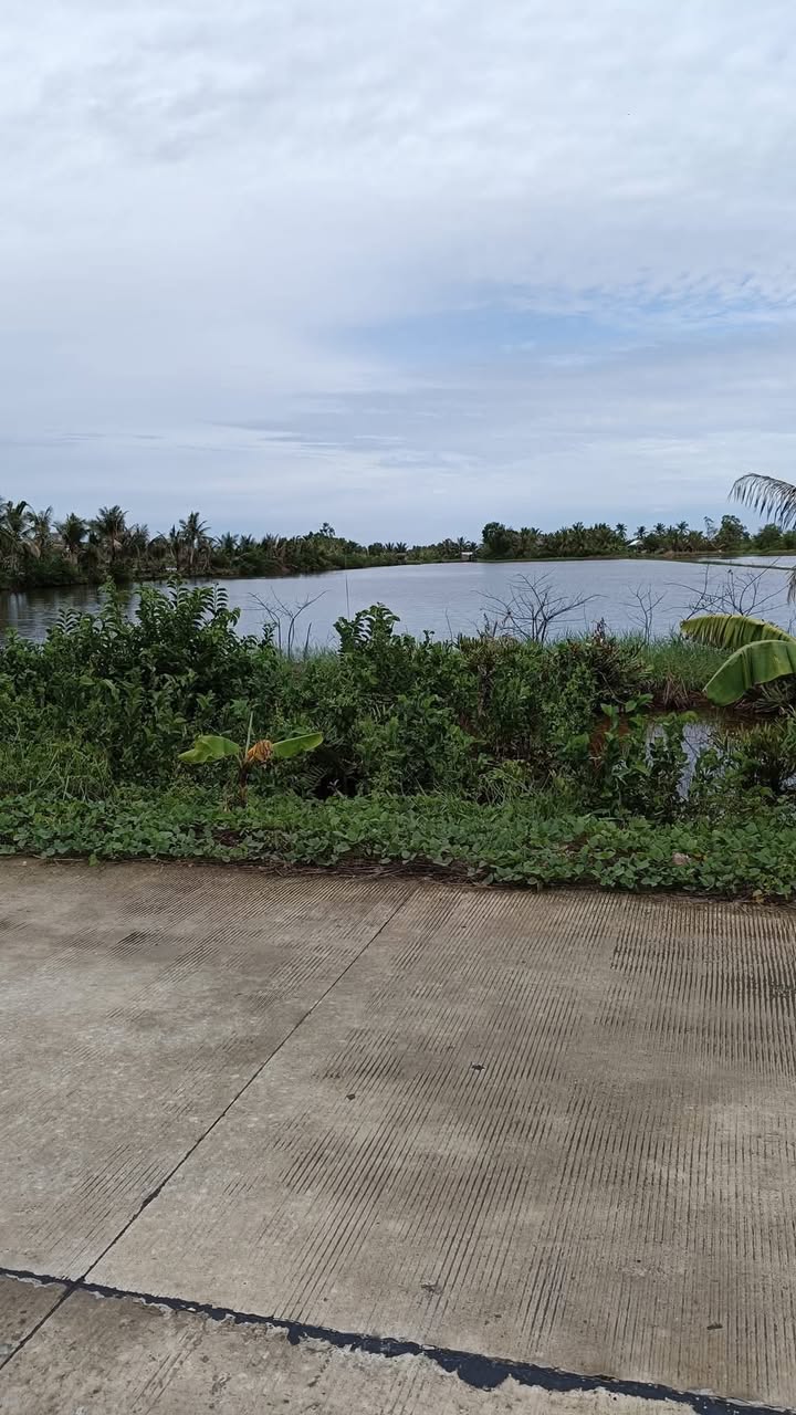 Đất nền Hưng Yên, An Biên 15436m² chỉ 200 triệu - Cơ hội đầu tư hấp dẫn!