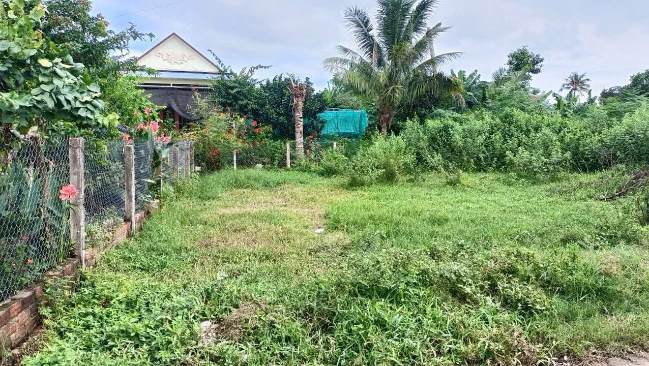 Đất mặt tiền đường An Trinh, Mỹ Hiệp, Phù Mỹ 103m² - Kinh doanh thuận tiện!