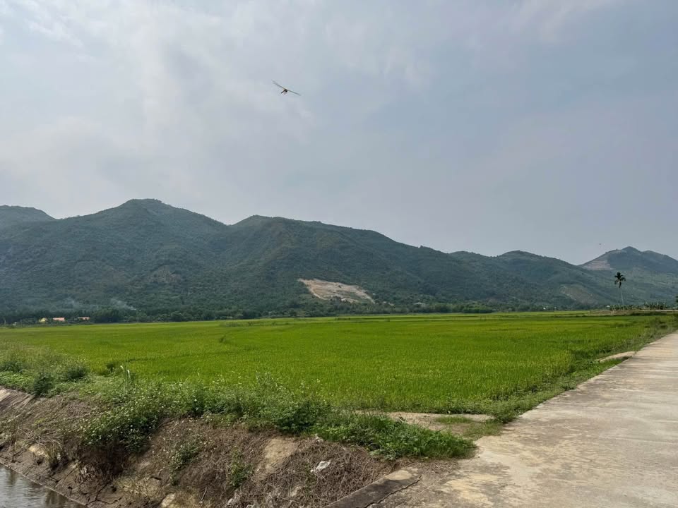 Đất nền Diên Toàn, Diên Khánh 121m² giá 1.573 tỷ - Vị trí đẹp, không gian yên tĩnh!