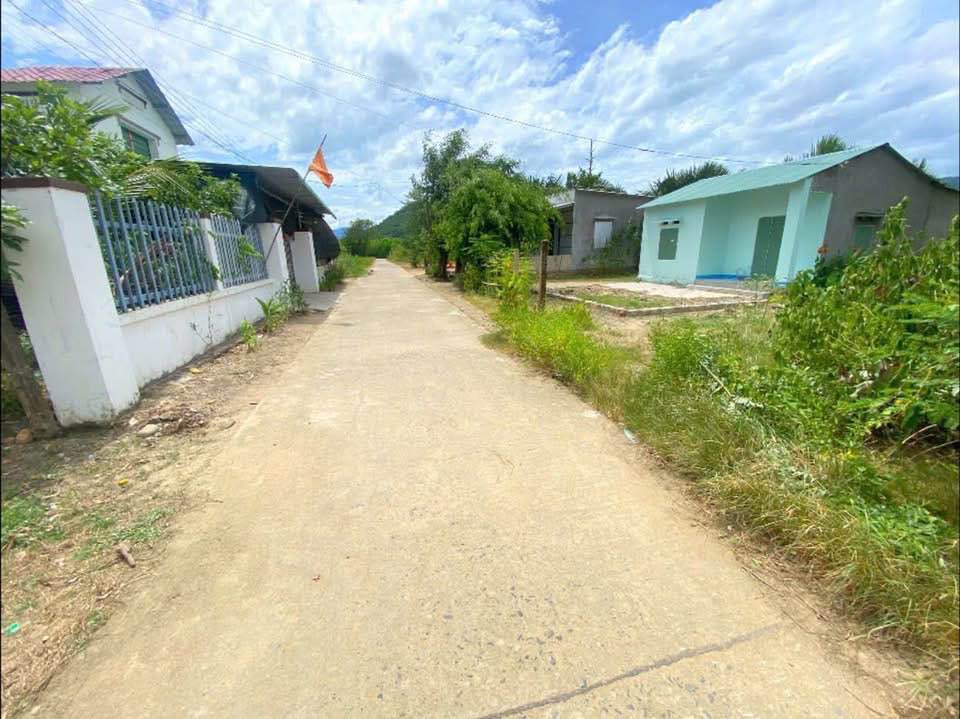 Đất vườn 2500m² tại Khánh Đông giá chỉ 249 triệu - Cơ hội đầu tư tuyệt vời!