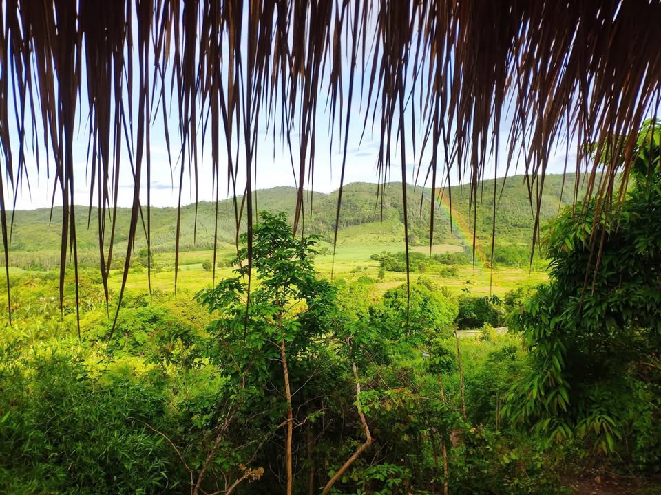 Đất RSX Tân Sơn Ninh Hòa 13780m² giá 2.1 tỷ - Cơ hội đầu tư hấp dẫn!