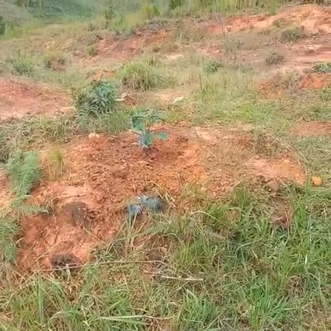 Đất nền Đạ Nhim Lạc Dương 1,4ha giá 2 tỷ - Cơ hội đầu tư sinh lời!