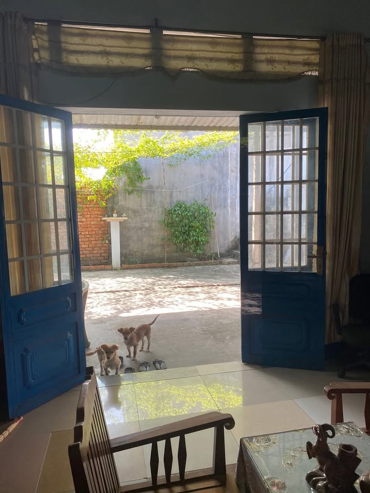 Đất thổ cư Phú Thọ, Thủ Dầu Một 124m² giá 2 tỷ - Cơ hội đầu tư hấp dẫn!