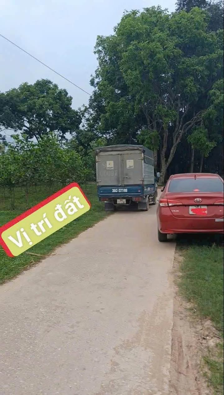 Đất thổ cư thôn Thu Vi, xã Triệu Thành, 126m² giá 200 triệu - Cơ hội đầu tư hấp dẫn!