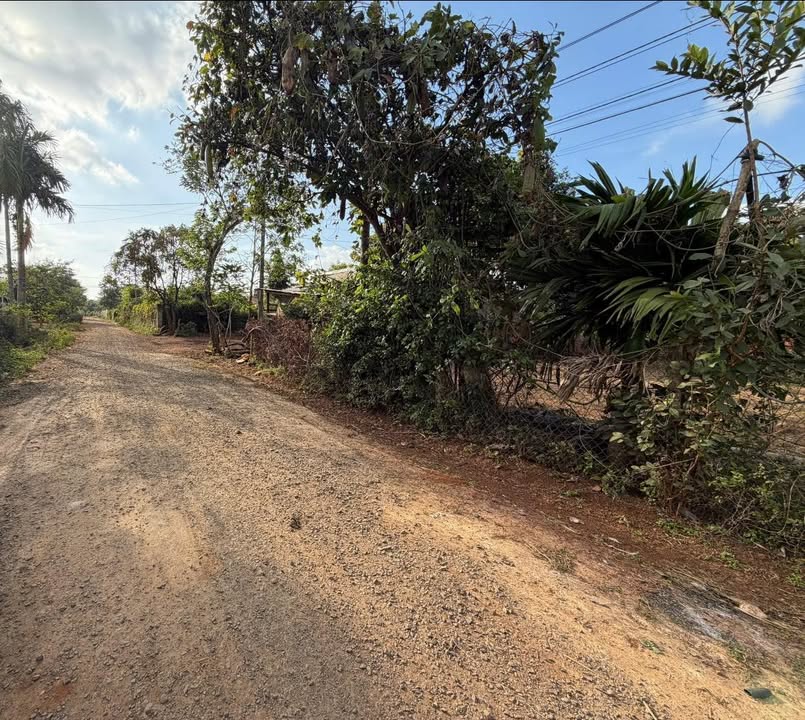 Đất thổ cư 1075.2m² Cư Kuin giá chỉ 750 triệu - Cơ hội đầu tư tốt!