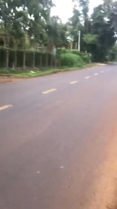 Đất nền 5250m² tại tỉnh lộ 8, Krông Búk - Cơ hội đầu tư kho bãi lý tưởng!