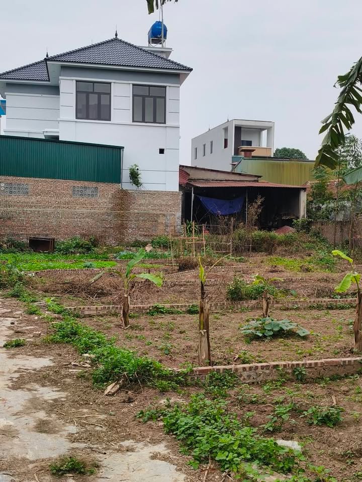 Đất phân lô Mão Điền, Thuận Thành 74m² giá 1.3 tỷ - Đầu tư sinh lời ngay!