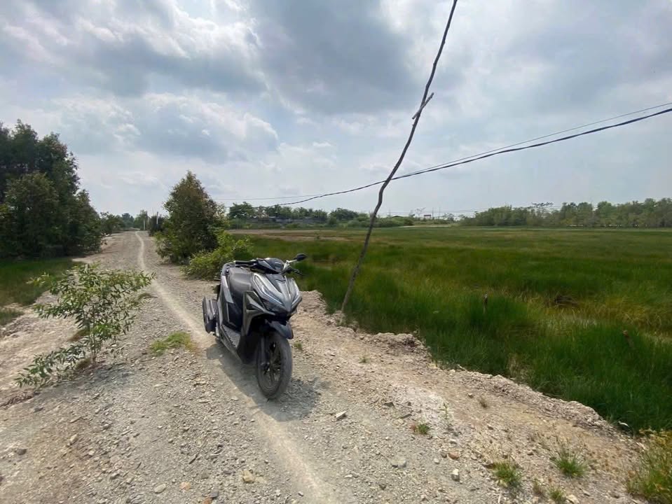 Đất thổ cư 2940m² xã Phước Khánh - Sổ đỏ chính chủ, giá chỉ 9.425 tỷ!