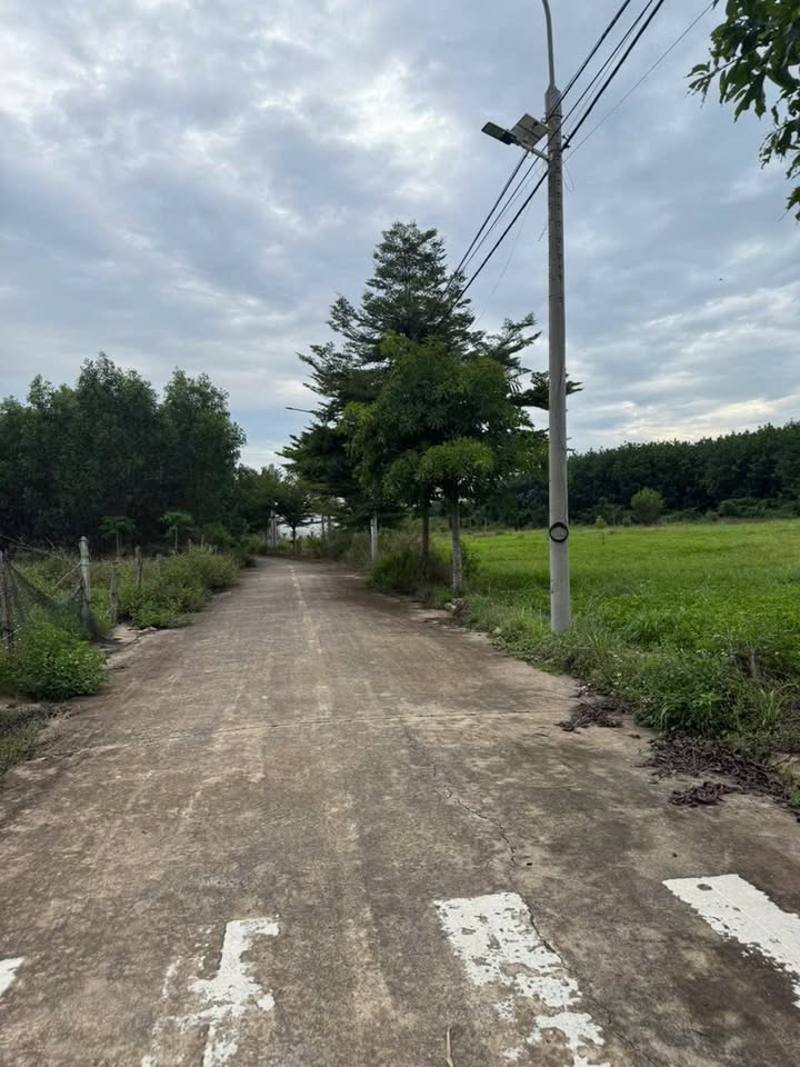 Đất 1128m² xã Lộc An, Long Thành - Thích hợp làm nhà vườn, nghỉ dưỡng!