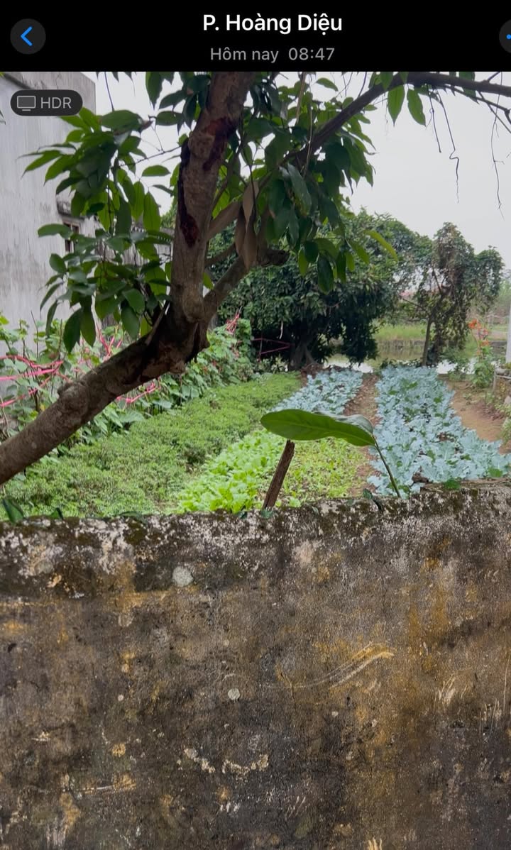 Nhà vườn Hoàng Diệu 600m² giá 2 tỷ - Sổ đỏ chính chủ, ao vườn hiếm có!