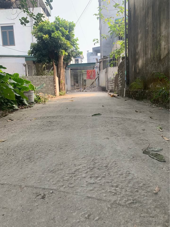 Đất thổ cư Phố Nam Sơn, An Hoạch 75m² giá 1.3 tỷ - Đầu tư sinh lời ngay!