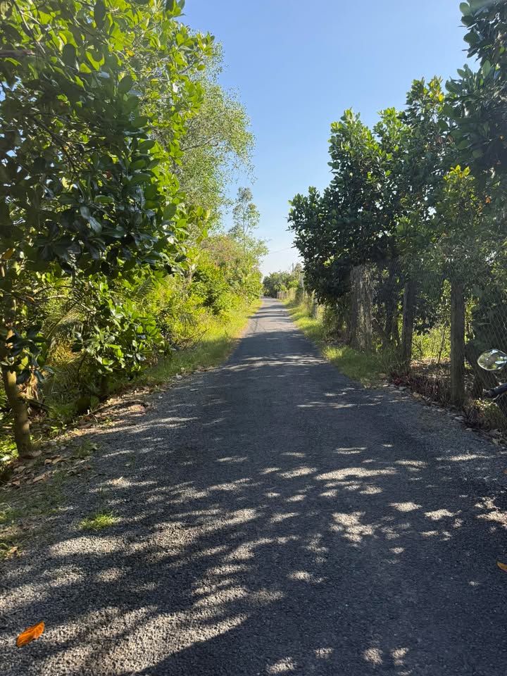 Đất mặt tiền đường nhựa xã Mỹ Tân, Cái Bè 1300m² - Giá tốt đầu tư!