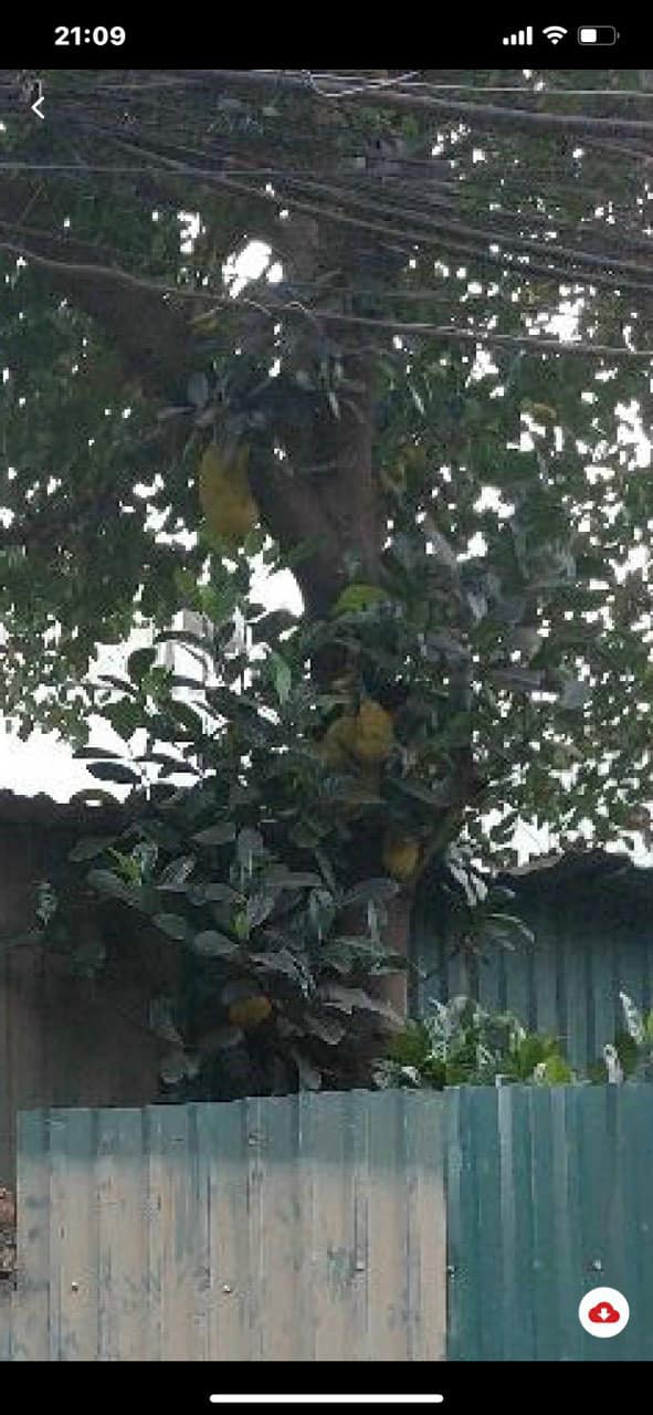 Đất Ngọc Thụy Long Biên 61m² giá 4 tỷ - Cơ hội đầu tư tuyệt vời!