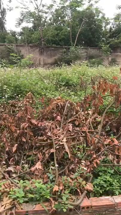 Đất thổ cư 319m² tại Minh Trí, Sóc Sơn - Giá chỉ 8.2 triệu/m², sẵn sàng giao dịch!