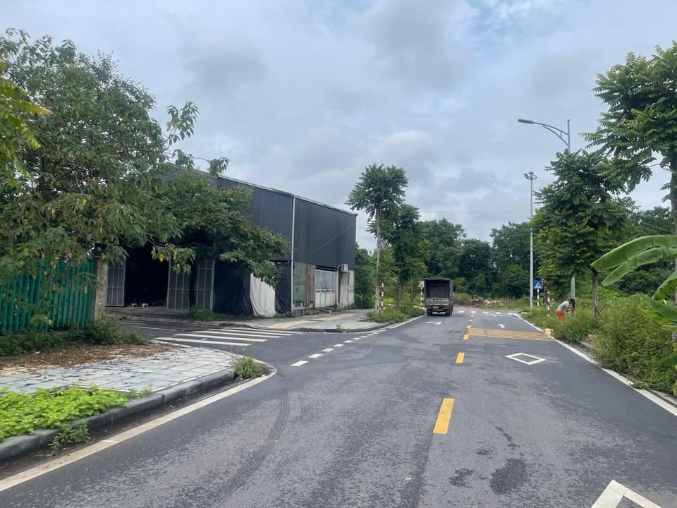 Đất phân lô Thượng Thanh Long Biên 85m² - Vị trí đắc địa gần trường học!