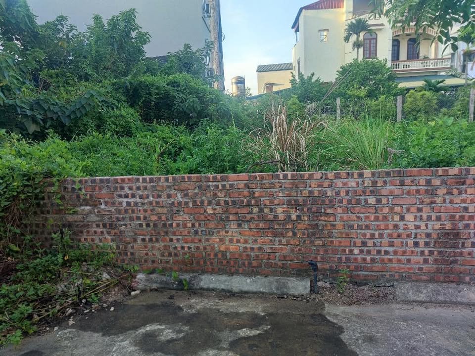 Đất nền ngõ 1015 Bát Khối, 55.4m² chỉ 4.55 tỷ - Đường ô tô đỗ cửa!