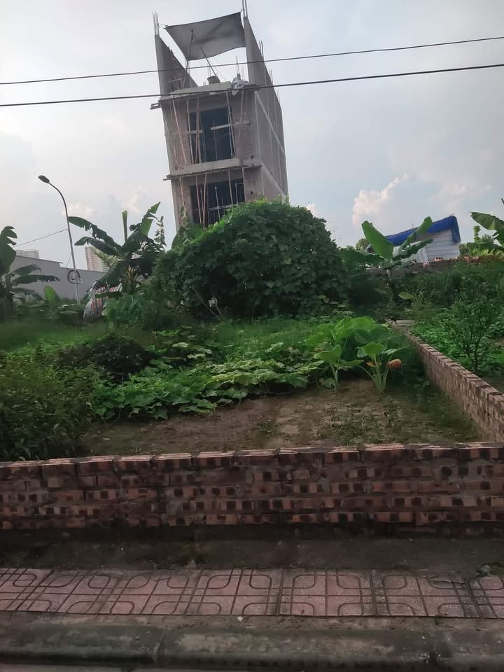 Đất nền Ngõ 541 Bát Khối 48m² giá 3.8 tỷ - Cơ hội đầu tư hiếm có!