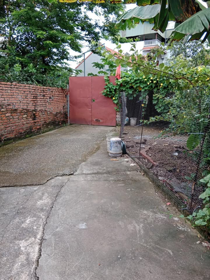 Đất nền Lệ Chi, Gia Lâm 41m² giá 1.3 tỷ - Chính chủ bán gấp!