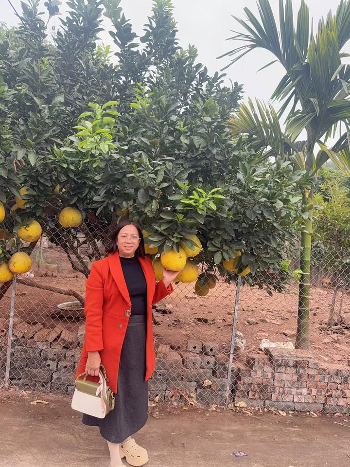 Đất vườn Đào Mỹ Lạng Giang 1500m² giá 2.3 tỷ - Đường xe tải thuận tiện