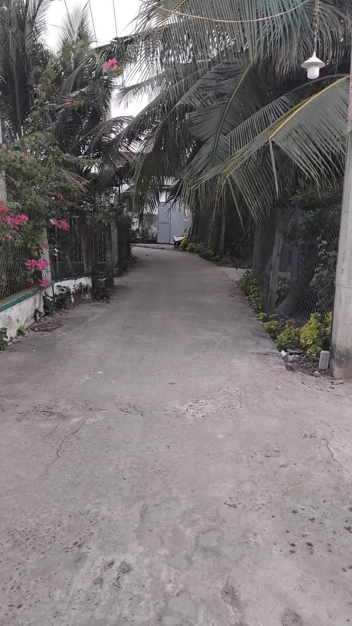 Đất nền Ấp 4 Đạo Thạnh 124m² giá 700 triệu - Đầu tư sinh lời hấp dẫn!