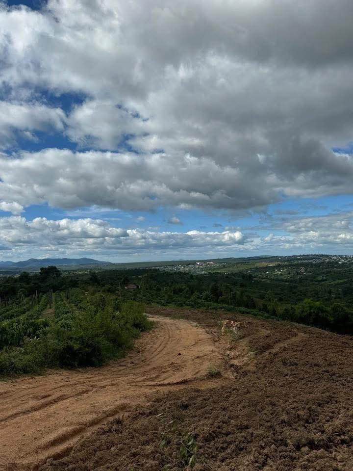 Đất nền thổ cư Ea Khal, Đắk Lắk 13.600m² - Giá chỉ 612 triệu, gần trung tâm!