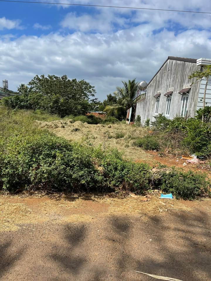 Đất thổ cư xã Cư Êbur 630m² giá 4 tỷ - Đường B3, gần đường chính