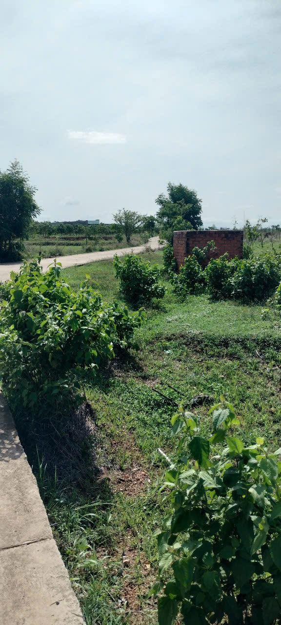 Đất trang trại Sông Bình Bắc Bình 17ha giá 1.7 tỷ - Cơ hội đầu tư tuyệt vời!