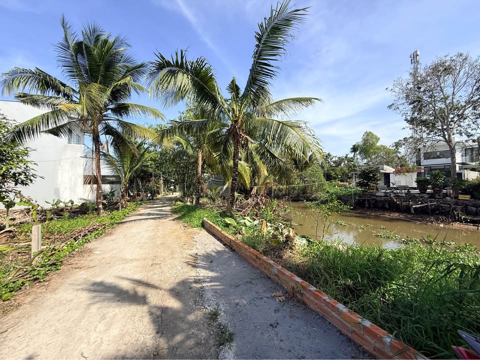 Bán đất vườn 1593m² Mỹ Khánh, Phong Điền, Cần Thơ - Giá chỉ 3.8 tỷ