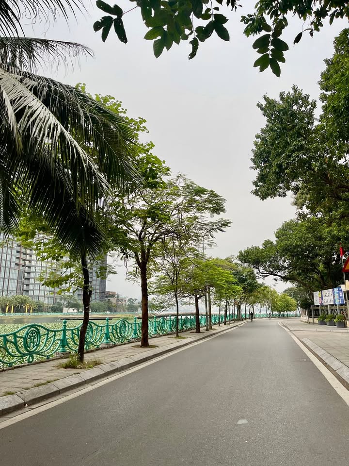 Căn hộ TOÀ APARTMENT Nhật Chiêu 120m² giá 56 tỷ - Dòng tiền khủng 235 triệu/tháng!