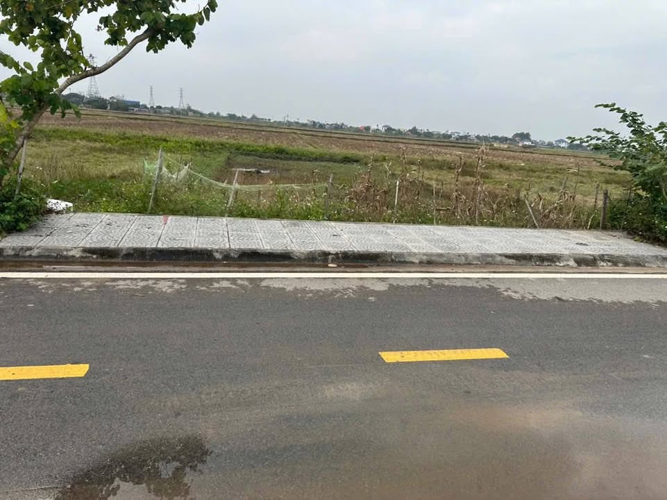 Đất nền Vĩnh Ninh, Tiền Hải 250m² giá chỉ 1 tỷ - Cơ hội đầu tư hấp dẫn!