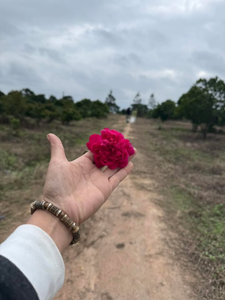 Nhà nhỏ tại thôn 5 Ea Knốp, Đắk Lắk – Chỉ 499 triệu, sổ đỏ chính chủ!