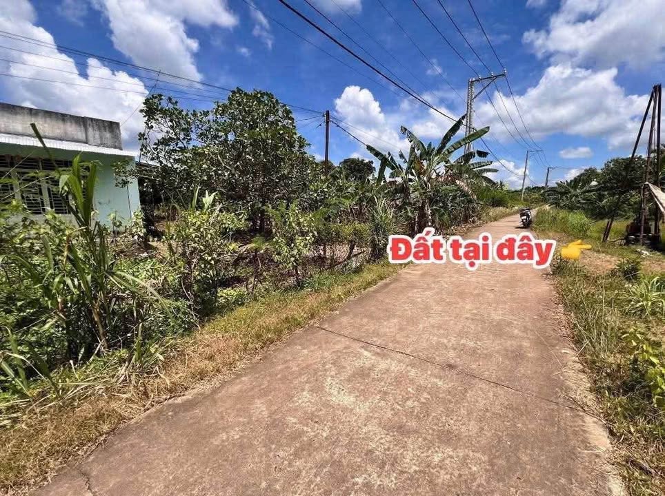 Đất Phú Vinh, Đồng Nai 976m² giá 399 triệu - Sổ đỏ chính chủ, bớt lộc!