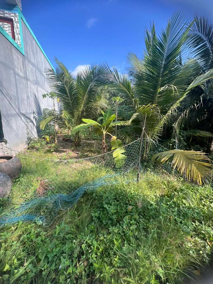 Đất nền 266m² xã Vang Quới Tây huyện Bình Đại giá 370 triệu - Pháp lý rõ ràng, thuận lợi đầu tư!