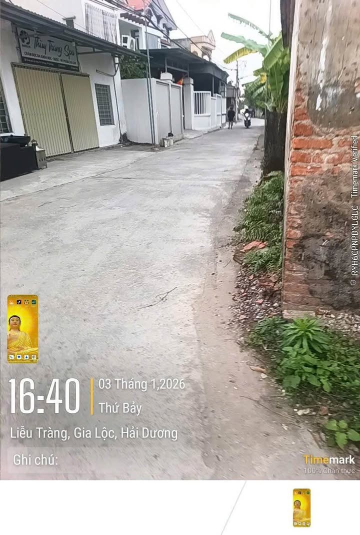 Đất nền Tân Hưng Hải Dương 50m² giá 900 triệu - Đầu tư sinh lời ngay!