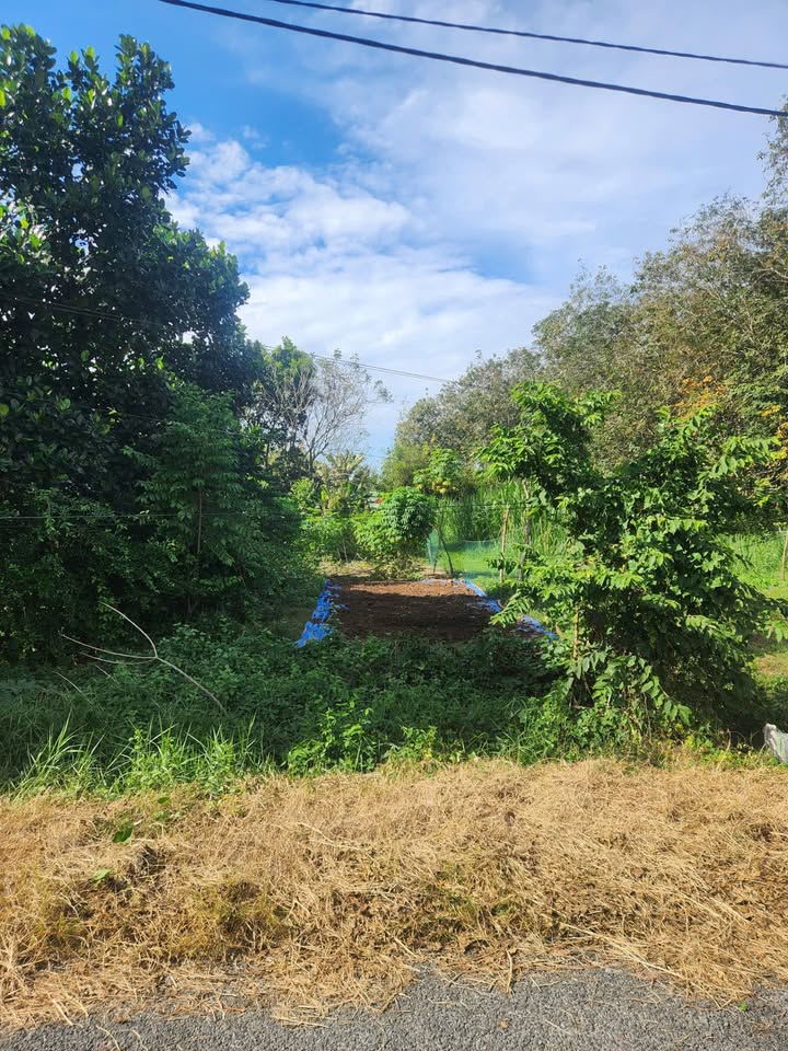 Đất nền Củ Chi 375m² giá 1.7 tỷ - Đầu tư sinh lời ngay!