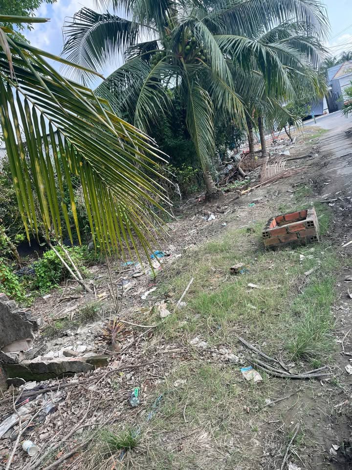 Đất nền mặt tiền Nguyễn Văn Nhung Vĩnh Long 149.2m² giá 2.238 tỷ - Cơ hội đầu tư hấp dẫn!