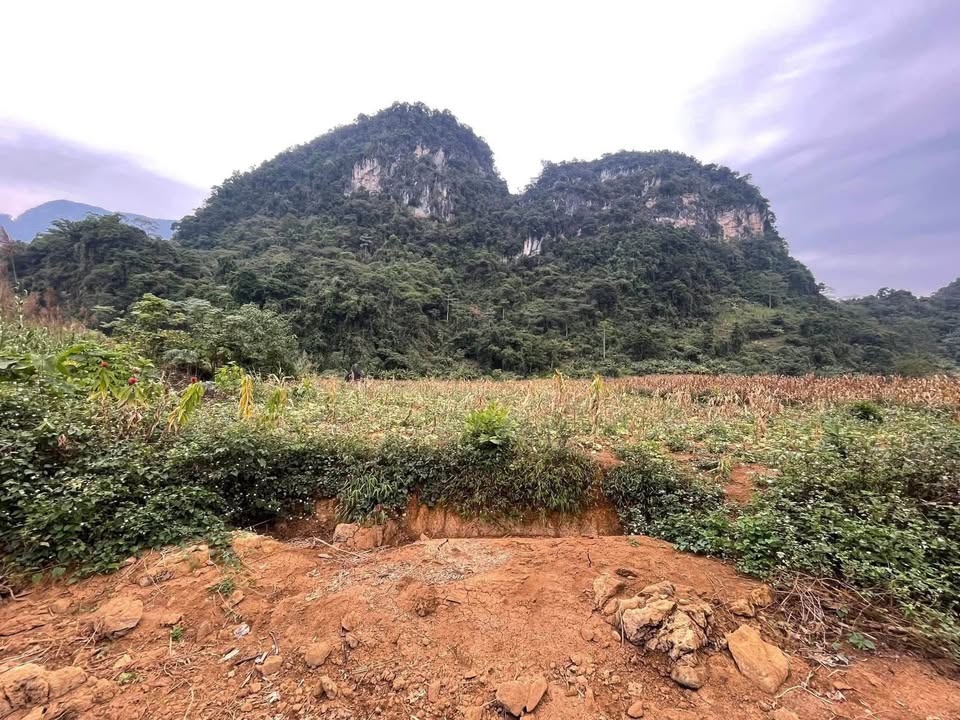 Đất nền Phong Quang Vị Xuyên 4155m² giá chỉ 550 triệu - Cơ hội đầu tư tuyệt vời!