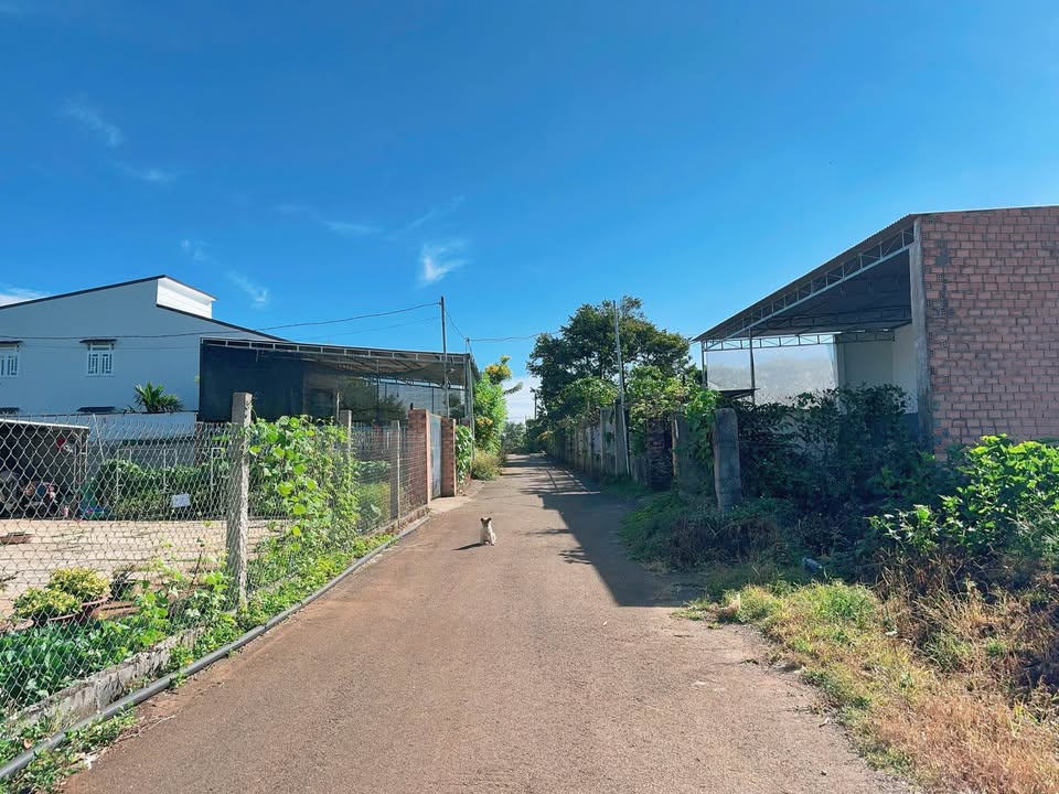 Đất thổ cư 270m² tại thôn 8 Lộc Ngãi - Giá 650 triệu - Đầu tư sinh lời tuyệt vời!