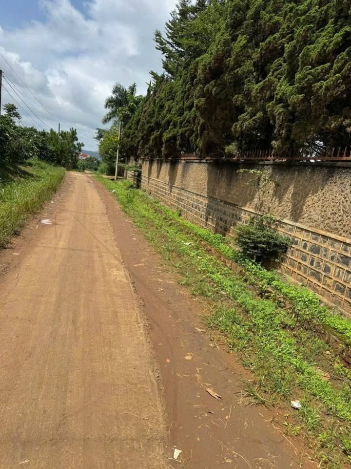 Đất nền Lộc Thành Bảo Lâm 195m² giá 750 triệu - Cơ hội đầu tư hấp dẫn!