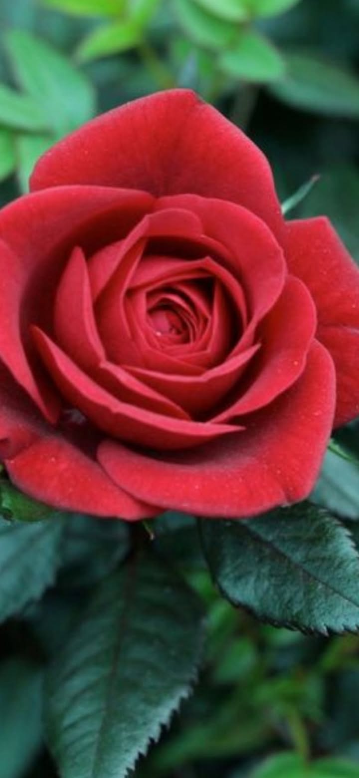 Đất thổ cư Thôn 1 Lộc Ngãi 400m² giá 1.7 tỷ - Cơ hội đầu tư hấp dẫn!