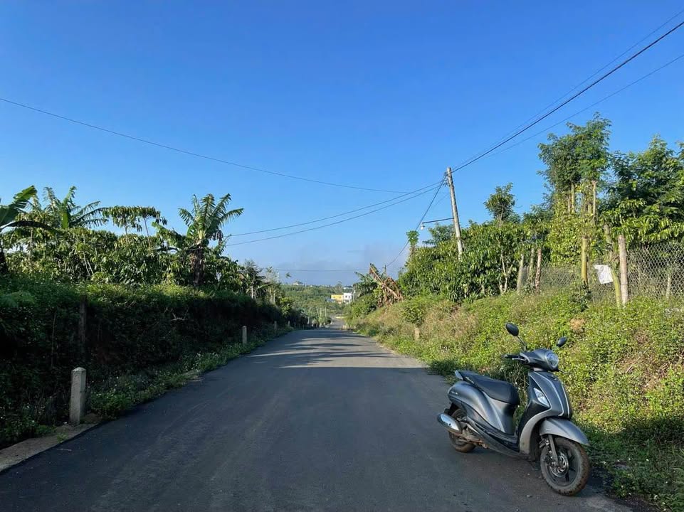 Đất mặt tiền đường Liên Thôn, xã Lộc An, huyện Bảo Lâm, 13.233m² - Đầu tư sinh lời tiềm năng!