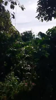 Đất nền Tân Hà Lâm Hà 67000m² giá 5.7 tỷ - Đầu tư sinh lời tốt!